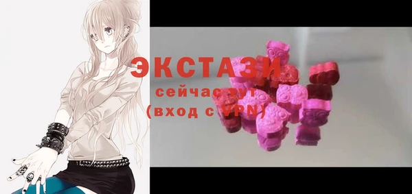 ECSTASY Гусев